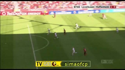 Bayer Leverkusen - Hoffenheim 1 - 0 (1 - 0,  15 8 2009)