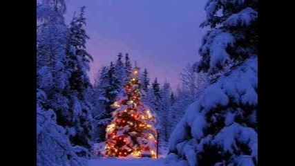 jingle bels 