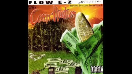 Flow E - Z - Street Degrees W 