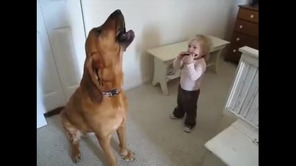 Бебе свири, куче пее