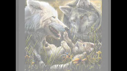 Welcome To The Nature...
