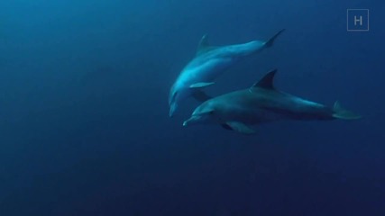 Красотата на нашата планета [hd]