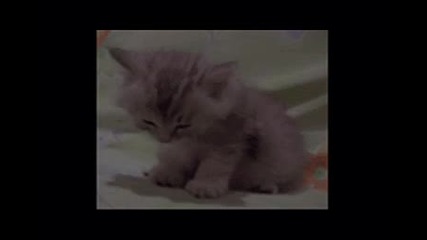 Сладурче :*