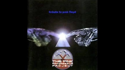 Is There Anybody Out There - The Pink Progressive Project 