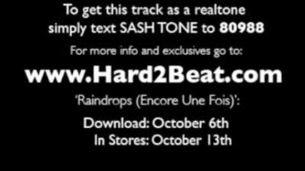 Sash Feat. Stunt - Raindrops