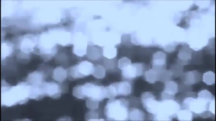 Black Fate- Charade