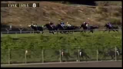 Jockeys - Win or Die Trying