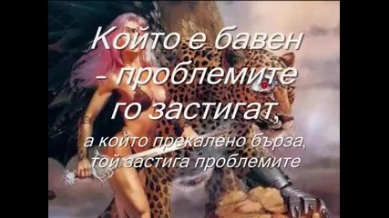 За приятелството (nightwish -away )_(360p)