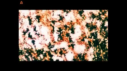 Графа - Ванилия