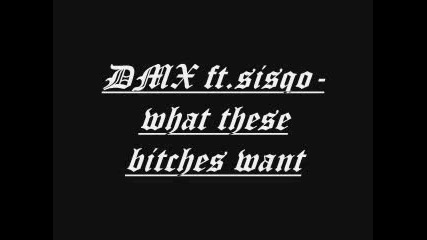 Dmx - What These Bitches Want