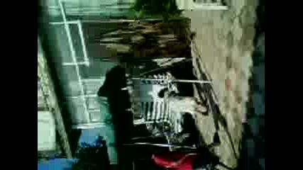 yako2