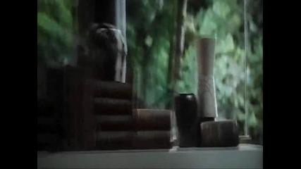 Здрач : Зазоряване 2 (фен клипче с моменти от филма! )