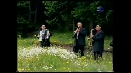 Росица Пейчева - марийо, Гюлбер, Марийо
