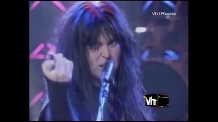 Wasp - Sunset & Babylon