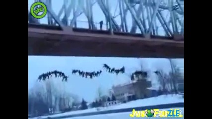 Масов скок от мост