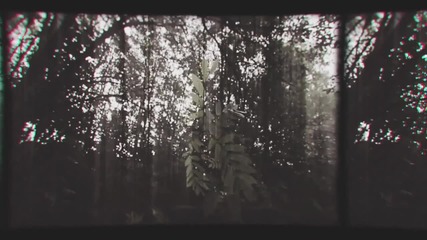 Insomnium - Regain The Fire (official Video)
