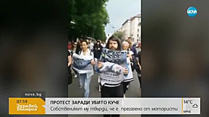 Протест заради убито куче на пешеходна пътека