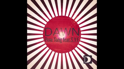 Pete Tong & S.y.f. - Dawn (hot Since 82 Remix) New