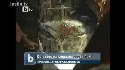 Октопода Пол Не Се Продава