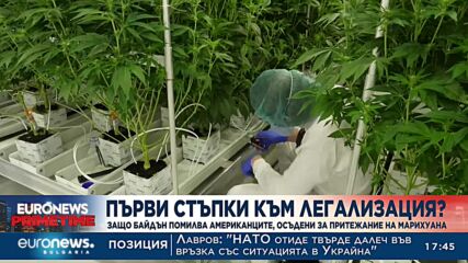 Павел Хаджиев, Чикаго: Решението на Байдън за марихуаната изненада цялата страна