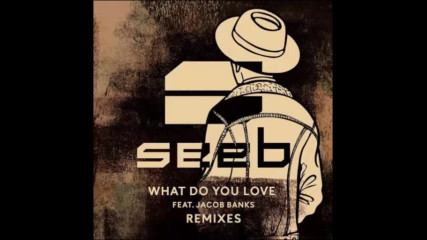 *2017* Seeb ft. Jacob Banks - What Do You Love ( Sjur remix )