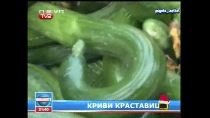 Българските Майстори - Господари На Ефира 06.01.2009