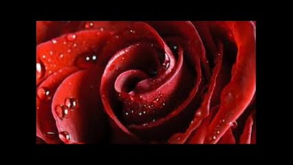 Мелодията на розата (dubstep)