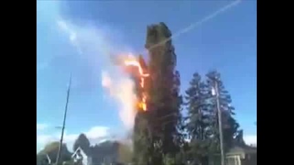 Волтова дъга подпалва дърво!!! 