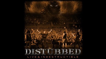 disturbed - the night 