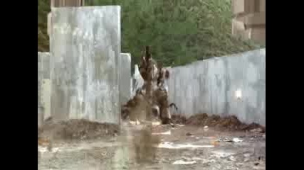Halo Combat