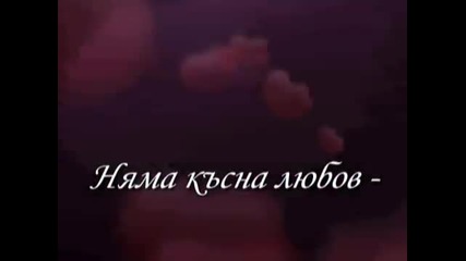 Няма късна любов!