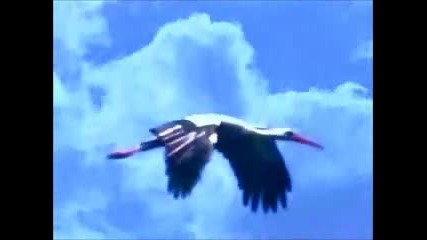 Foreigner - Blinded by science