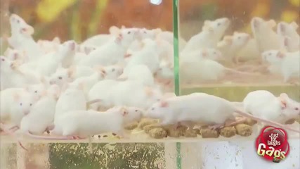 Скрита Камера! Най-смешния С Най-смешните Реакции На Хората! Прочетете Описанието