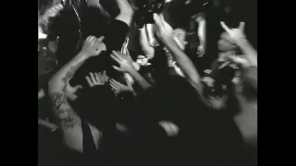 Puya - Oasis 