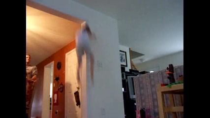 The wall walking kid