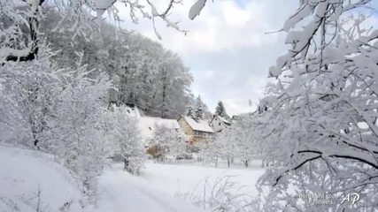 Bernward Koch - Ice Flowers