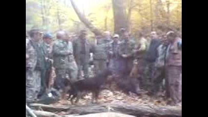 Ловна дружина Моравска 
