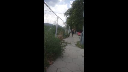 Vid_20230823_153054.mp4