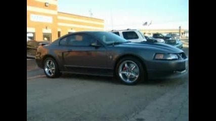 Mustang Gt