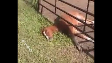 Гладът учи