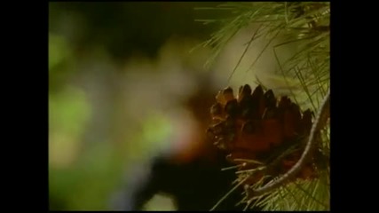 Bloodhound Gang - Kiss Me Where It Smells Funny 
