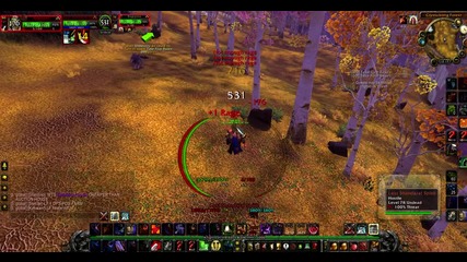 wow1
