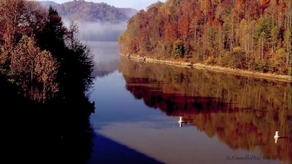 Elvis Presley - Kentucky Rain