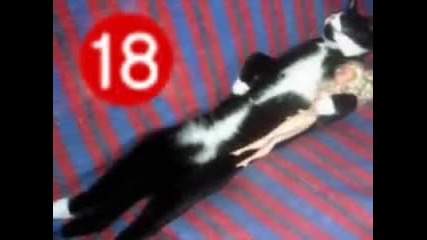 kiu4eka gudi gudi samo za + 18