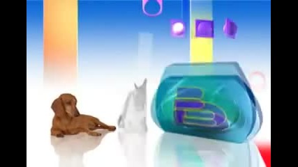btv реклама-котка и куче