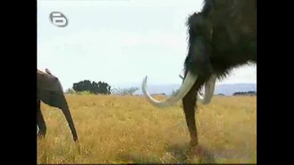 Праисторически Парк Епизод 6 Част 1 Дейнозухус