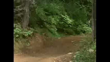 Downhill