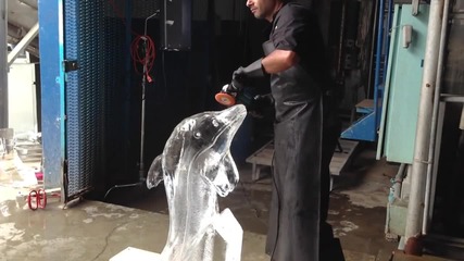 Ледено делфинче - Айс карвинг технология
