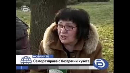 Бтв Новините - Отровени кучета в Русе 
