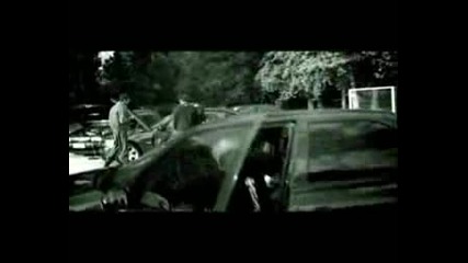 Sha - S Krunom